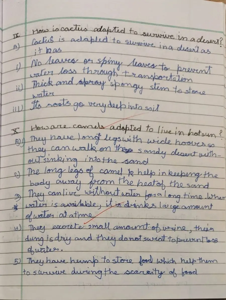 Ayansh J.'s English handwriting, before the course